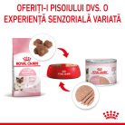 Royal Canin Mother & BabyCat Hrană umedă pentru pisici, mama și puiul 400 g