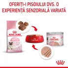 Royal Canin Mother & BabyCat Hrană uscată pentru pisici, mama și puiul 400 g