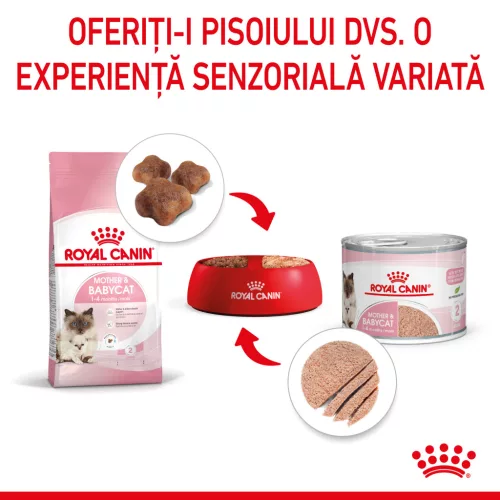 Royal Canin Mother & BabyCat Hrană uscată pentru pisici, mama și puiul 400 g