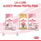 Royal Canin Mother & BabyCat Hrană uscată pentru pisici, mama și puiul 400 g