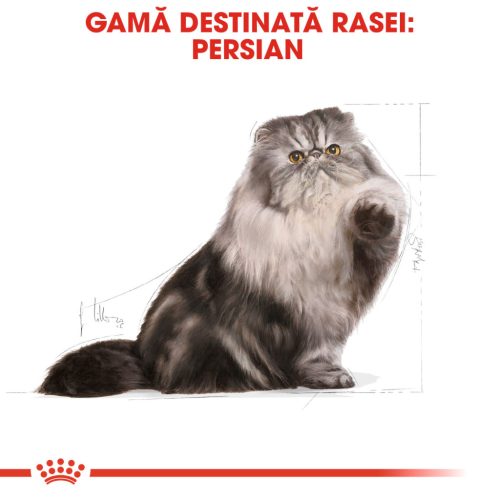 Royal Canin Persian Adult Hrană uscată pentru pisici 400 g