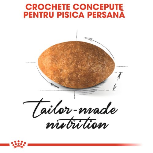 Royal Canin Persian Adult Hrană uscată pentru pisici 400 g