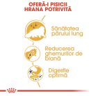 Royal Canin Persian Adult Hrană uscată pentru pisici 400 g