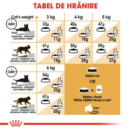 Royal Canin Persian Adult Hrană uscată pentru pisici 400 g