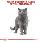 Royal Canin British Shorthair Adult Hrană uscată pentru pisici 400 g