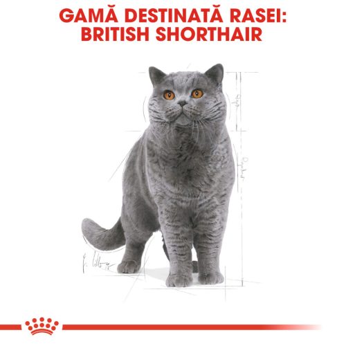 Royal Canin British Shorthair Adult Hrană uscată pentru pisici 400 g