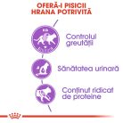 Royal Canin Sterilised Adult Hrană uscată pentru pisici sterilizate 400 g