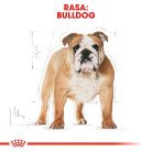 Royal Canin Bulldog Adult Hrană uscată pentru câini 3 kg