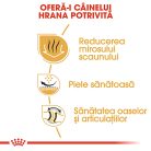 Royal Canin Bulldog Adult Hrană uscată pentru câini 3 kg