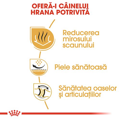 Royal Canin Bulldog Adult Hrană uscată pentru câini 3 kg