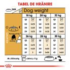 Royal Canin Bulldog Adult Hrană uscată pentru câini 3 kg