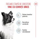 Royal Canin X-Small Puppy hrana uscata caine junior, 1.5 kg 