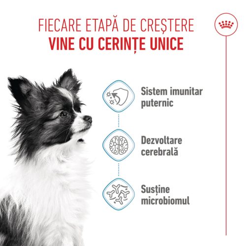 Royal Canin X-Small Puppy hrana uscata caine junior, 1.5 kg 