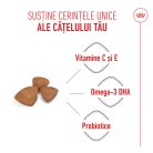 Royal Canin X-Small Puppy hrana uscata caine junior, 1.5 kg 