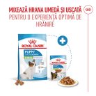 Royal Canin X-Small Puppy hrana uscata caine junior, 1.5 kg 