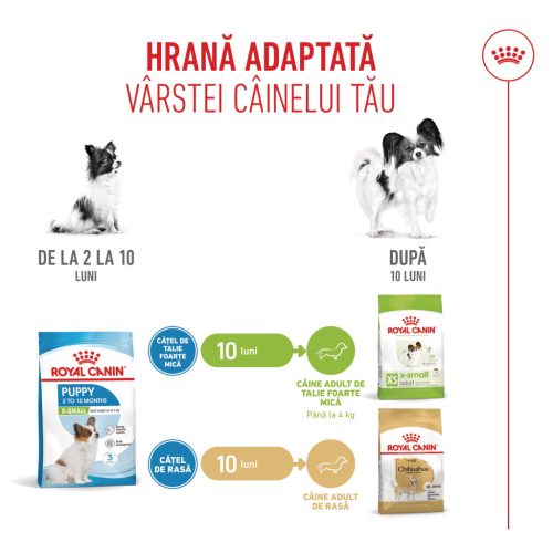 Royal Canin X-Small Puppy hrana uscata caine junior, 1.5 kg 