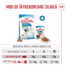 Royal Canin X-Small Puppy hrana uscata caine junior, 1.5 kg 