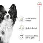 Royal Canin X-Small Adult Hrană uscată pentru câini 1,5 kg