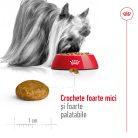 Royal Canin X-Small Adult Hrană uscată pentru câini 1,5 kg