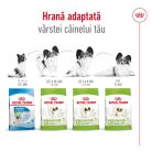 Royal Canin X-Small Adult Hrană uscată pentru câini 1,5 kg