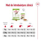Royal Canin X-Small Adult Hrană uscată pentru câini 1,5 kg