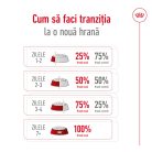 Royal Canin Mini Ageing 12+ Hrană uscată pentru câini seniori 1,5 kg