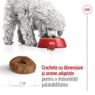 Royal Canin Mini Ageing 12+ Hrană uscată pentru câini seniori 1,5 kg