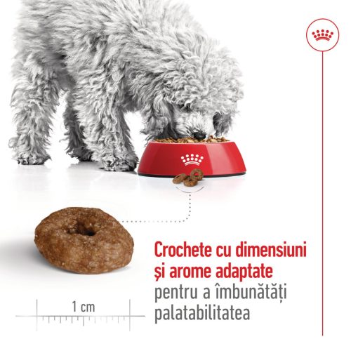 Royal Canin Mini Ageing 12+ Hrană uscată pentru câini seniori 1,5 kg