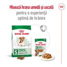 Royal Canin Mini Ageing 12+ Hrană uscată pentru câini seniori 1,5 kg