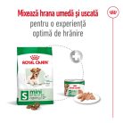Royal Canin Mini Ageing 12+ Hrană uscată pentru câini seniori 1,5 kg