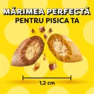 Dreamies Recompense pentru pisici cu somon și brânză 60 g