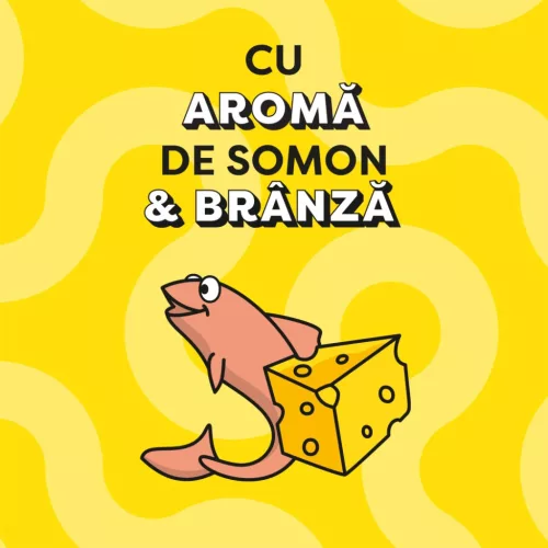 Dreamies Recompense pentru pisici cu somon și brânză 60 g