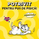 Dreamies Recompense pentru pisici cu somon și brânză 60 g