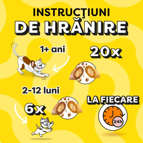 Dreamies Recompense pentru pisici cu somon și brânză 60 g