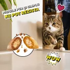 Dreamies Recompense pentru pisici cu somon și brânză 60 g