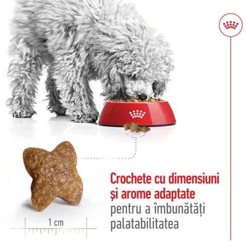 Royal Canin Mini Adult Hrană uscată pentru câini 8 kg