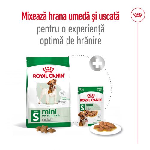 Royal Canin Mini Adult Hrană uscată pentru câini 8 kg