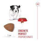 Royal Canin Mini Puppy Hană uscată pentru câini junior 8 kg