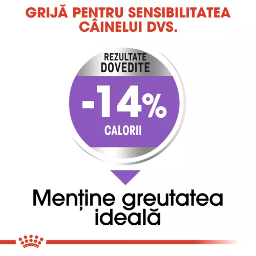 Royal Canin Mini Sterilised Adult Hrană uscată pentru câini 8 kg