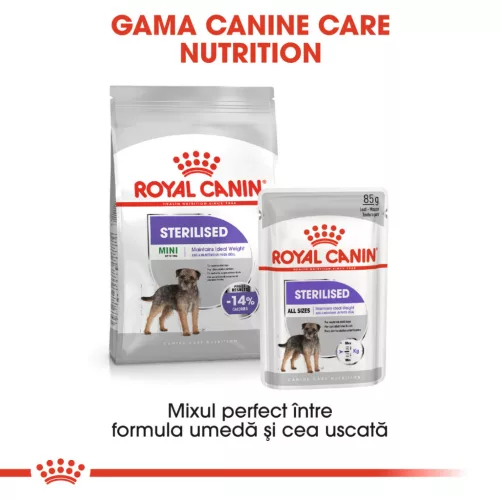Royal Canin Mini Sterilised Adult Hrană uscată pentru câini 8 kg