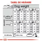 Royal Canin Mini Sterilised Adult Hrană uscată pentru câini 8 kg