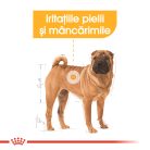 Royal Canin Medium Dermacomfort Hrană uscată pentru câini 3 kg
