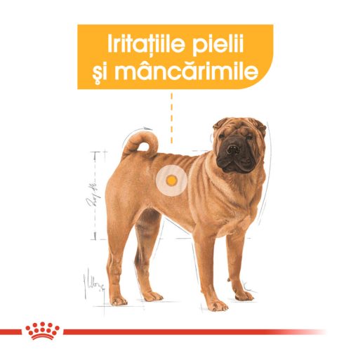 Royal Canin Medium Dermacomfort Hrană uscată pentru câini 3 kg