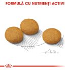 Royal Canin Medium Dermacomfort Hrană uscată pentru câini 3 kg