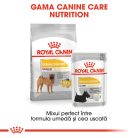 Royal Canin Medium Dermacomfort Hrană uscată pentru câini 3 kg
