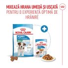 Royal Canin Mini Puppy Hană uscată pentru câini junior 800 g