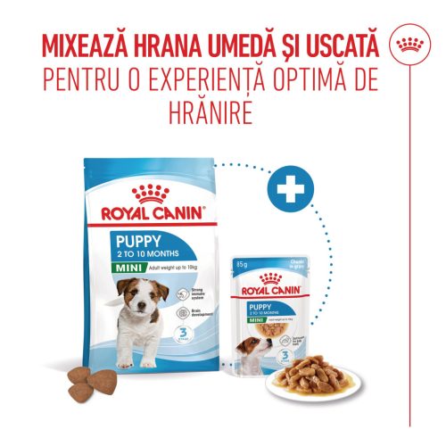Royal Canin Mini Puppy Hană uscată pentru câini junior 800 g