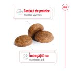 Royal Canin Medium Adult 7+ Hrană uscată pentru câini 4 kg