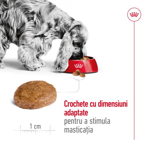 Royal Canin Medium Adult 7+ Hrană uscată pentru câini 4 kg