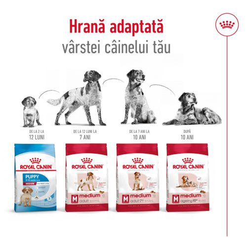 Royal Canin Medium Adult 7+ Hrană uscată pentru câini 4 kg